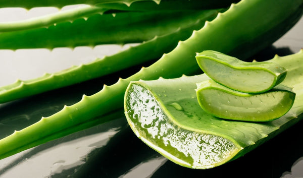 Gel di aloe, scopri a cosa serve e come usarlo