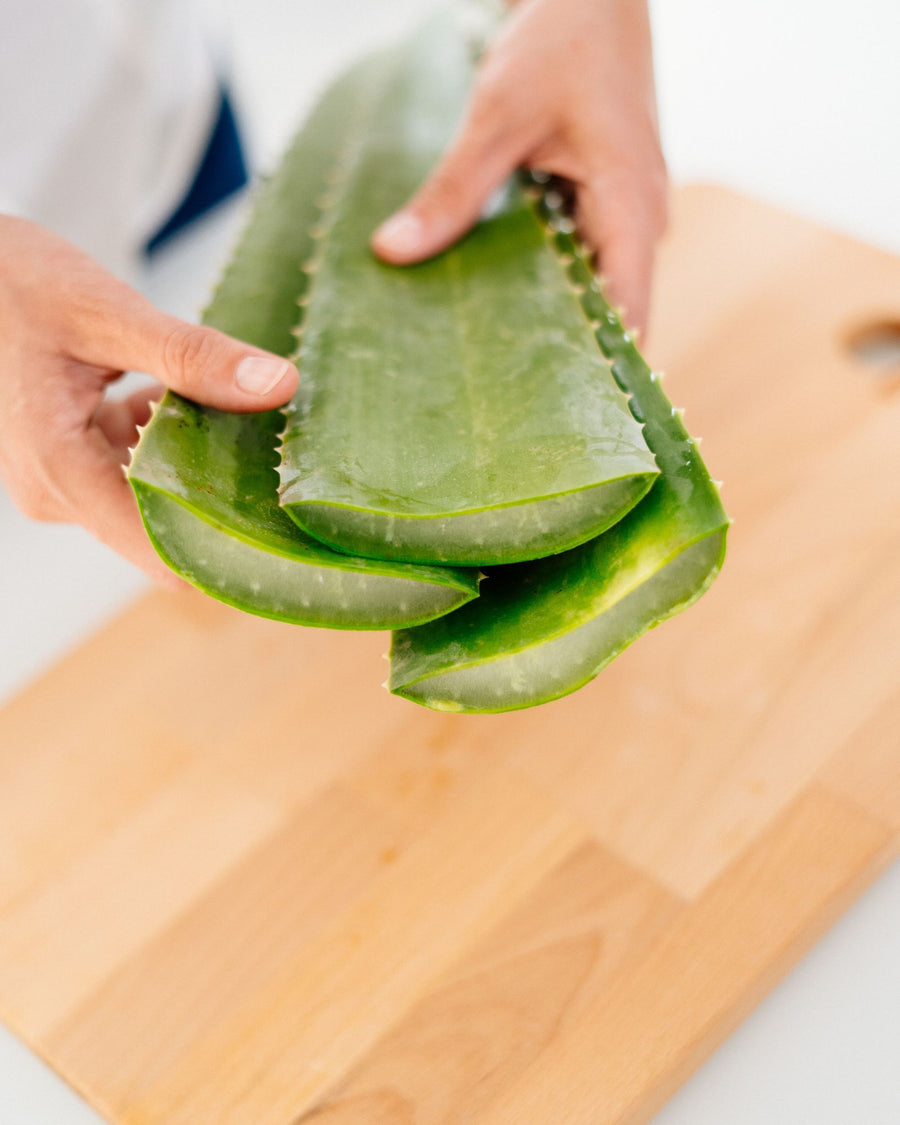Tre foglie di Aloe Vera