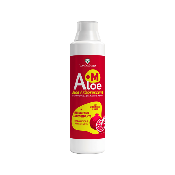 aloe melograno 500 ml