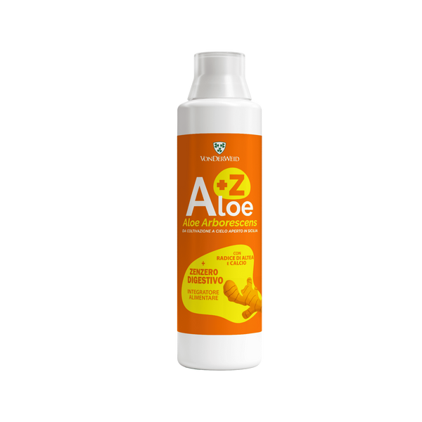 aloe zenzero 500 ml