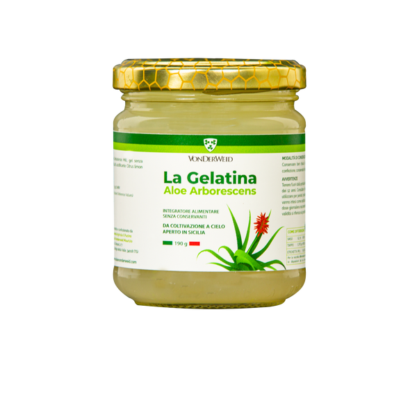 la gelatina vonderweid vaso 190 gr