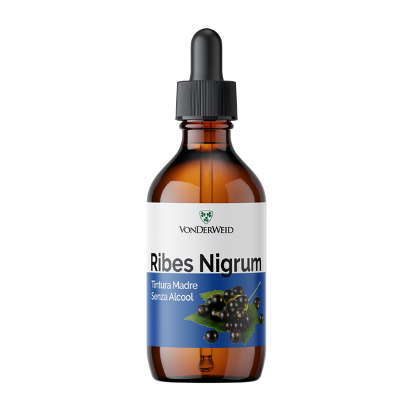 ribes nigrum tintura madre analcolica vonderweid 100 ml