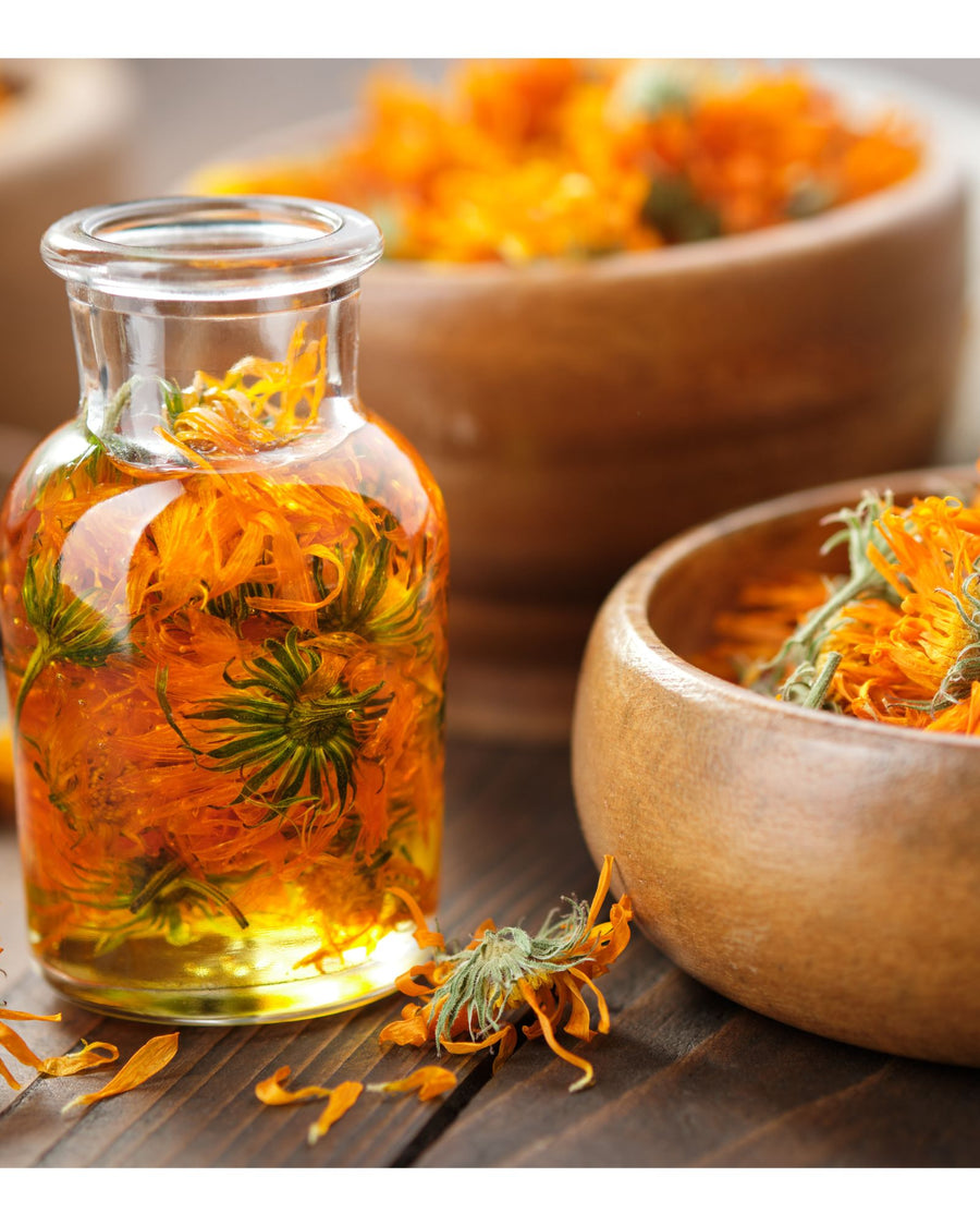 calendula infusione vaso
