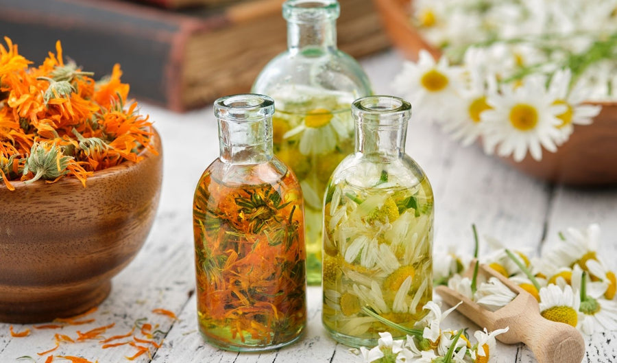 estratti vegetali boccette