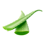 foglie aloe vera