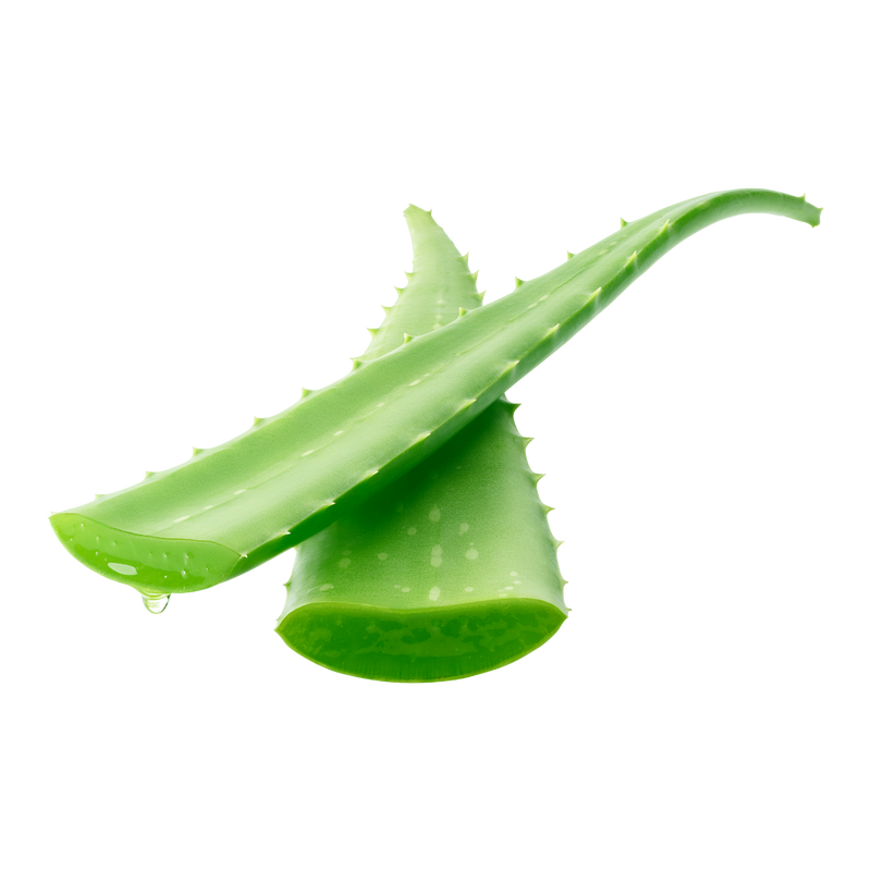foglie aloe vera
