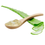 foglie aloe vera gel