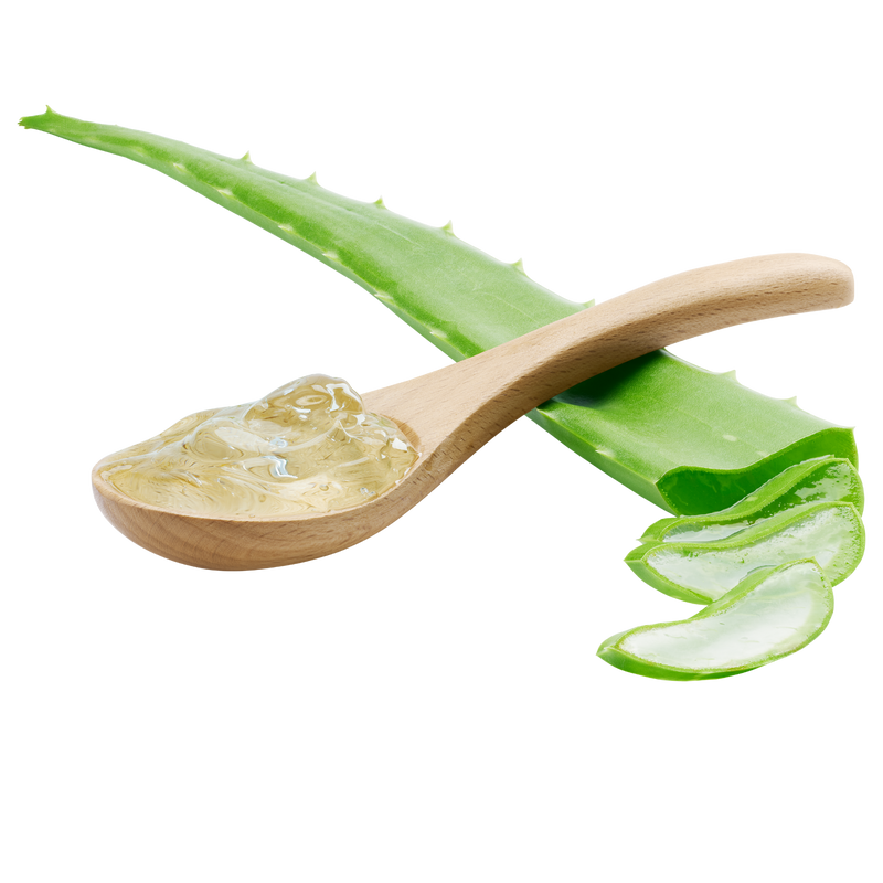 foglie aloe vera gel