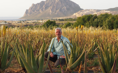 maurizio de vonderweid aloe