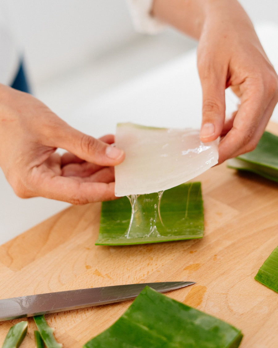 Sfilettatura di una foglia di Aloe Vera