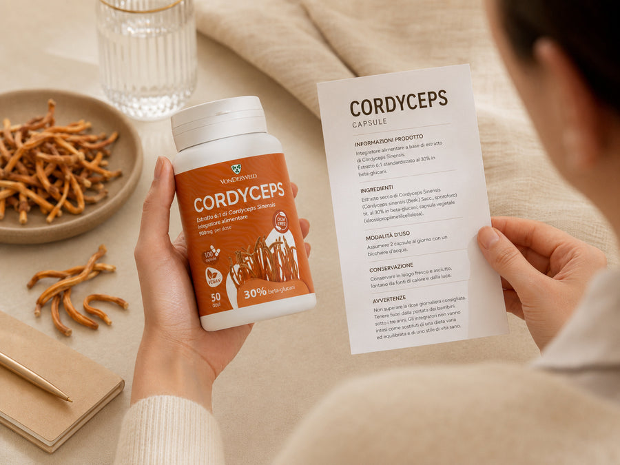cordyceps capsule Vonderweid in mano con foglio informativo